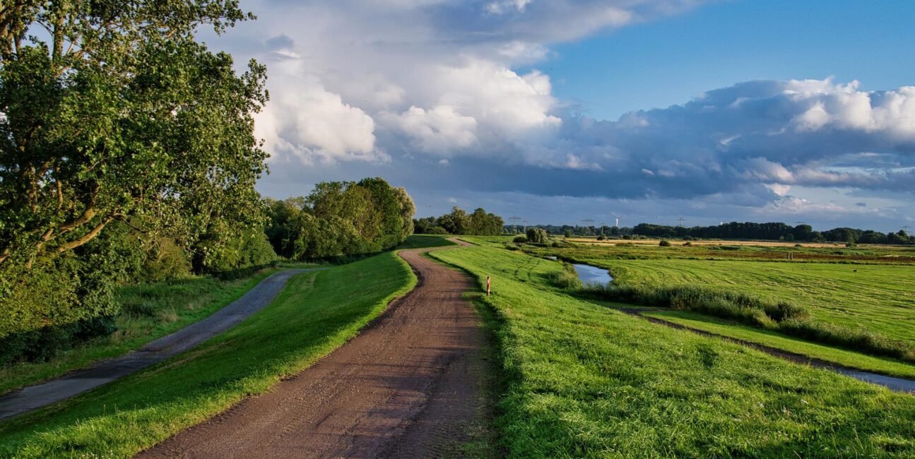 Основи трансцендентальної медитації