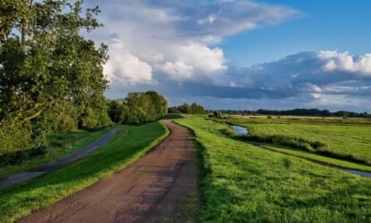 Основи трансцендентальної медитації