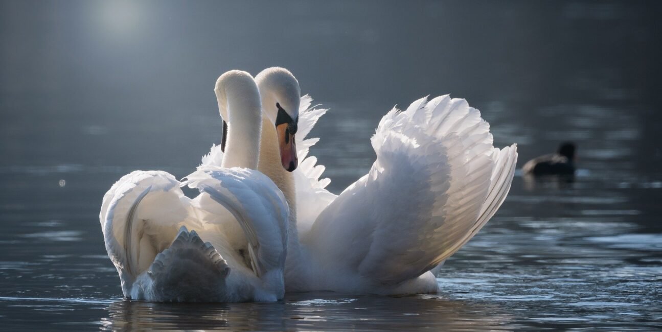 Любов у системі життя людини