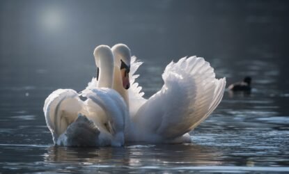 Любов у системі життя людини